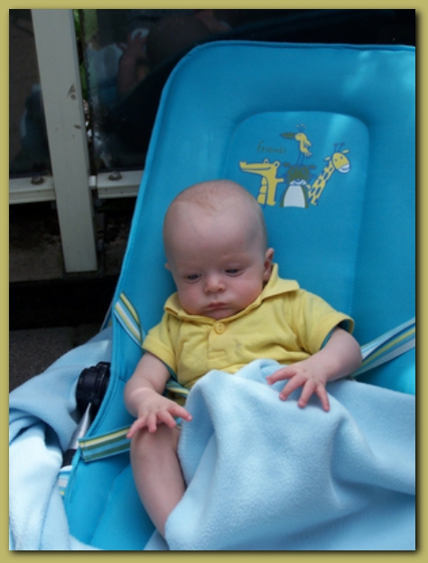 449x598 pixels (178K)